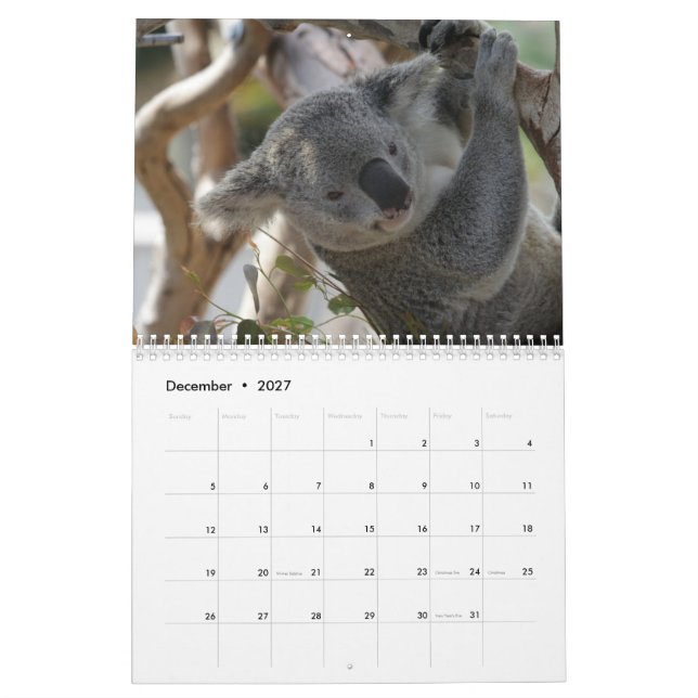 Koala Calendar (Dec 2027)