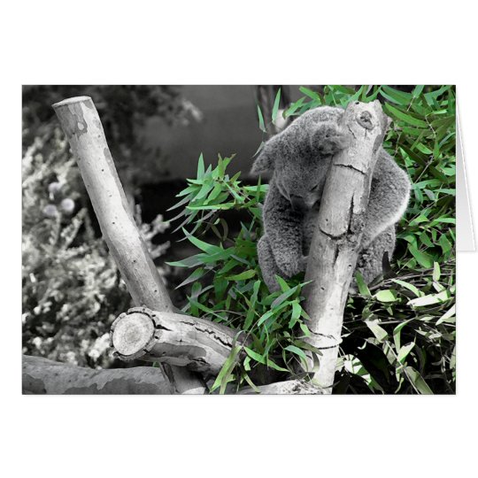 Koala Card