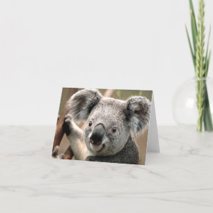 Koala Card