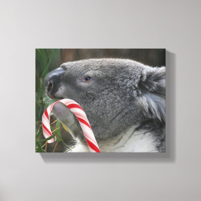 Koala Christmas Candy Cane Canvas Print (Front)