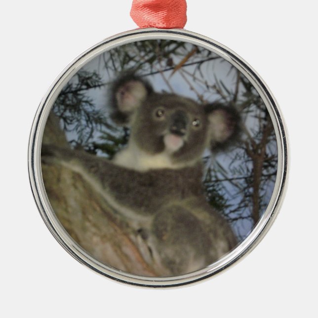 Koala Christmas Ornament (Front)