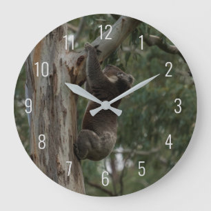 Koala Climbing in a Tree Australia Large Clock