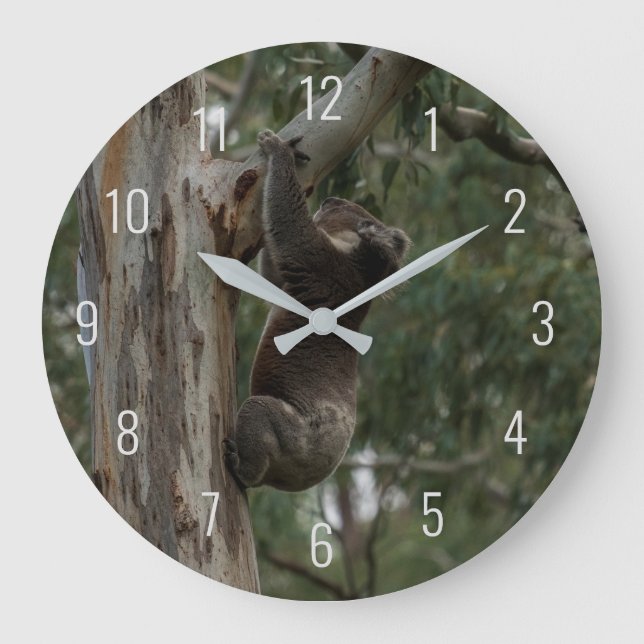 Koala Climbing in a Tree Australia Large Clock (Front)