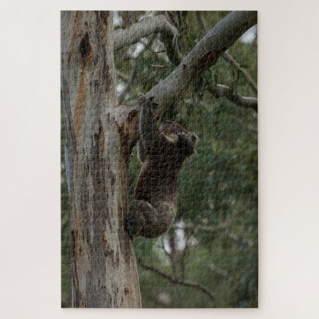 Koala Climbing Tree Australia, 1014 pieces Jigsaw Puzzle (Vertical)