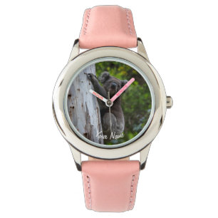Koala Climbing Tree Australia Watch