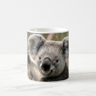 Koala Coffee Mug