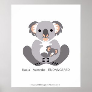 KOALA - Conservation - Endangered animal - Poster