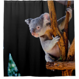 Koala Cute in Tree Grey