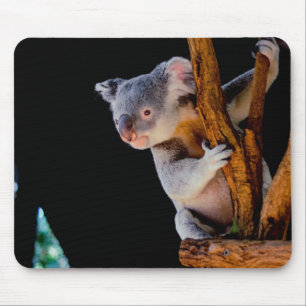 Koala Cute in Tree Grey Mouse Pad