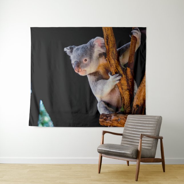 Koala Cute in Tree Grey Tapestry (In Situ (Horizontal))