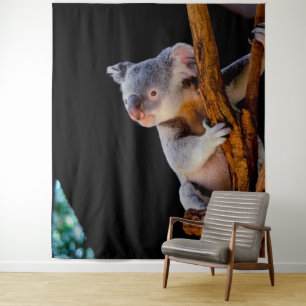 Koala Cute in Tree Grey Tapestry