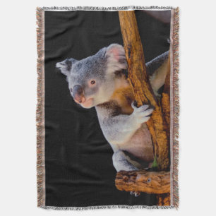 Koala Cute in Tree Grey Throw Blanket