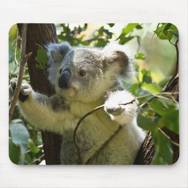 Koala cutie mouse pad (Front)