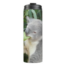 Koala Eating Gum Leaf Drink Bottle