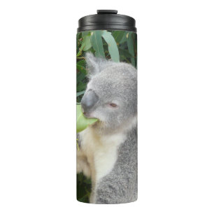 Koala Eating Gum Leaf Drink Bottle