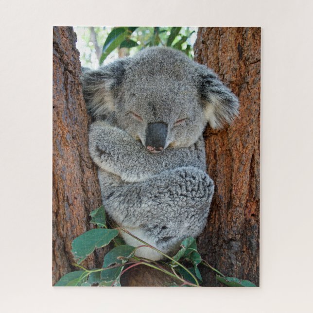 Koala endormie, Puzzle de Jigsaw (Vertical)