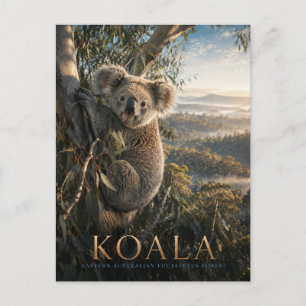 Koala Eucalyptus Forest ANIMALS Postcard