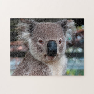 Koala Ferme, Jigsaw Puzzle