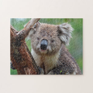 Koala Ferme, Jigsaw Puzzle