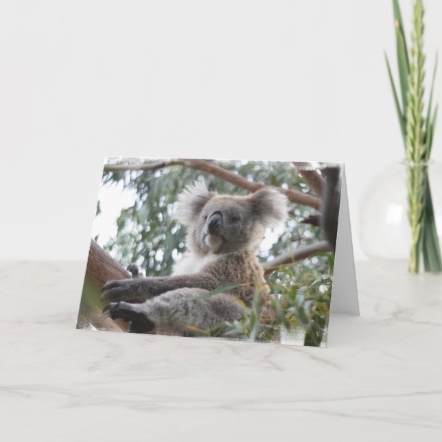 Koala Greeting Card (Front)