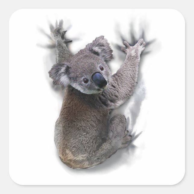 Koala Hang On Back Cute Bear Australia Animal Square Sticker (Front)