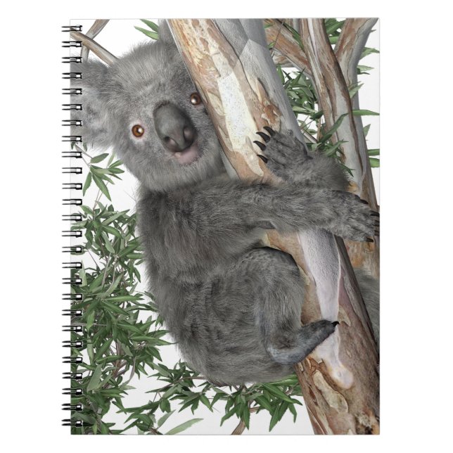 Koala in a Tree Notebook (Front)