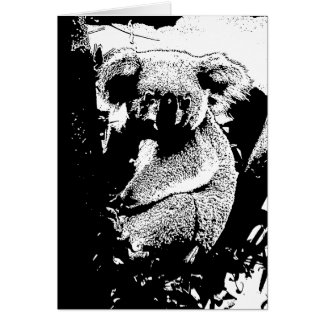 Koala in Black and White