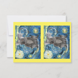 Koala in Starry Night, Endangered Species