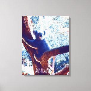 Koala in tree animal Australia Canvas Print