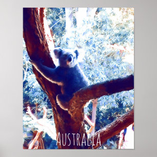 Koala in tree animal Australia Poster