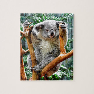 Koala Jigsaw Puzzle