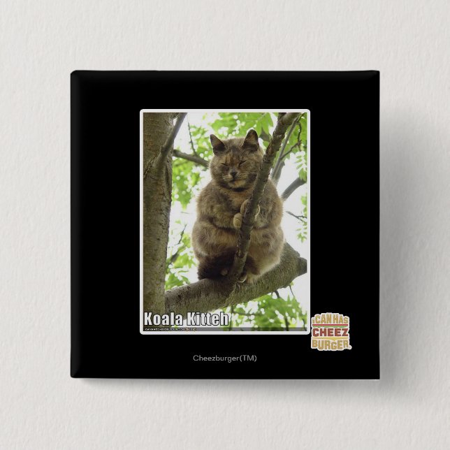 Koala Kitteh 2 Inch Square Button (Front)