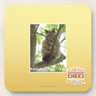 Koala Kitteh Coaster