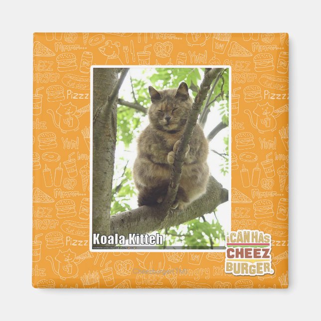 Koala Kitteh Magnet (Front)