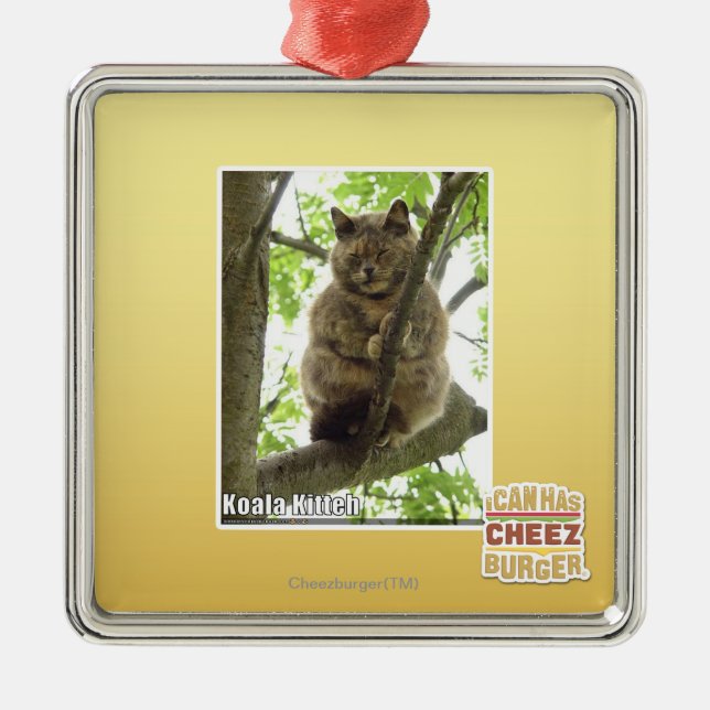 Koala Kitteh Metal Ornament (Front)