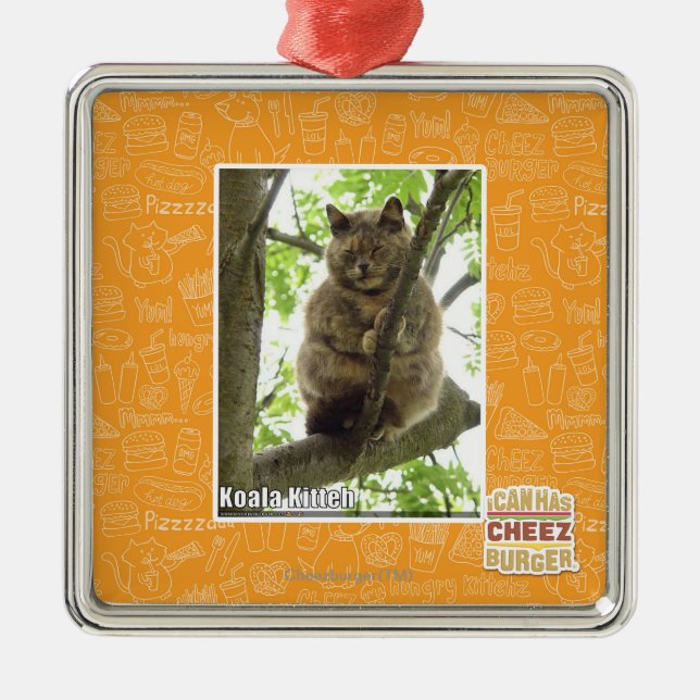 Koala Kitteh Metal Ornament (Front)