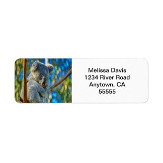 Koala Love Étiquettes de adresse