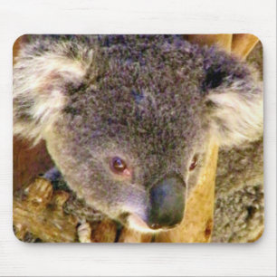 Koala Love_ Mouse Pad
