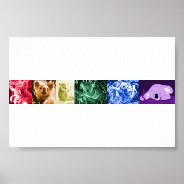 Koala Love Poster (Front)