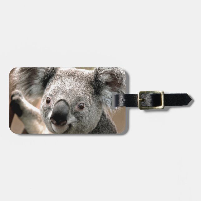 Koala Luggage Tag (Front Horizontal)