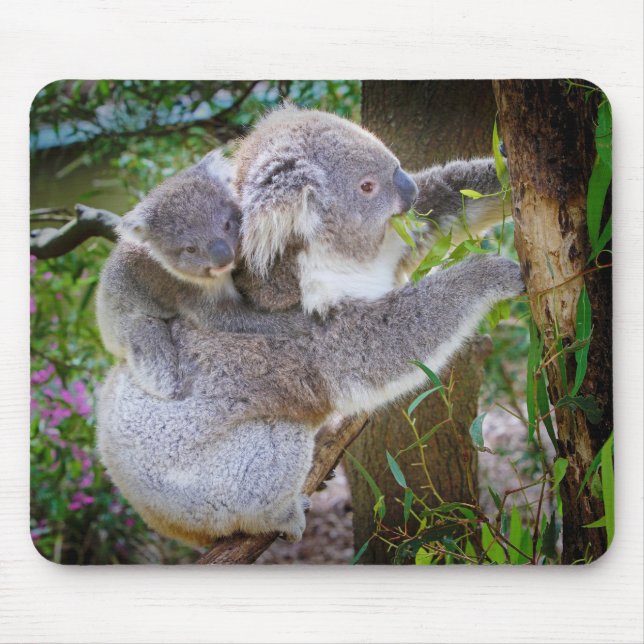 Koala mom son mouse pad (Front)