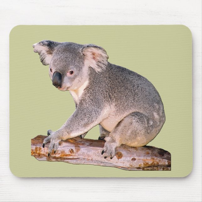 Koala Mousepadd Mouse Pad (Front)
