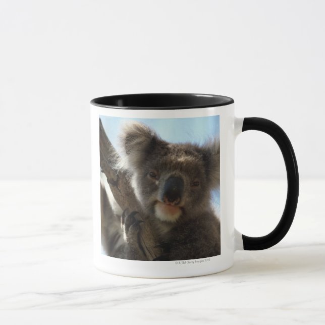 koala mug (Right)