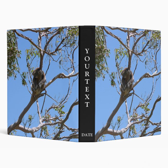 Koala Nap Binder (Background)