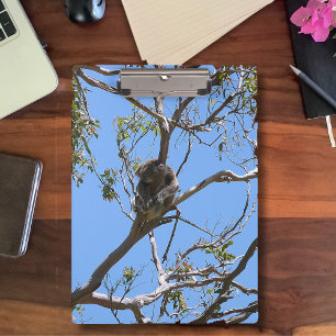 Koala Nap Clipboard