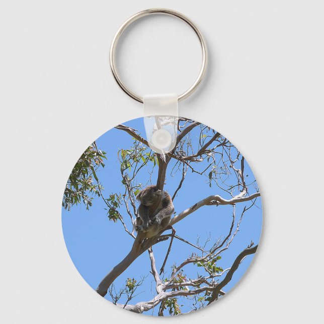 Koala Nap Keychain (Front)