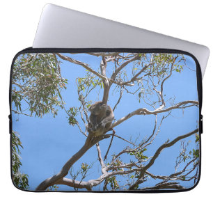 Koala Nap Laptop Sleeve