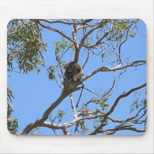 Koala Nap Mouse Pad