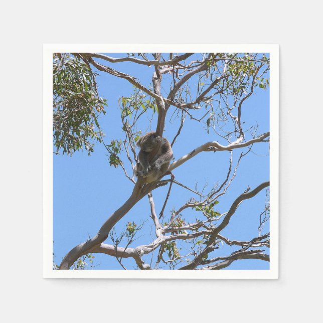Koala Nap Napkin (Front)