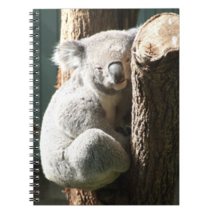 Koala Notebook
